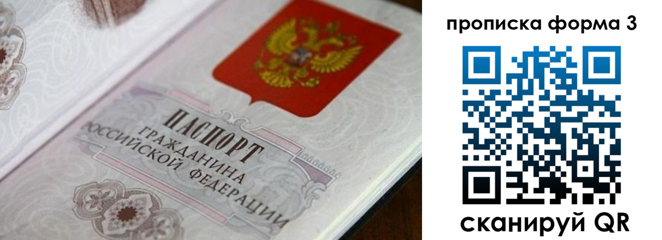 пропишу в квартире в Славгороде